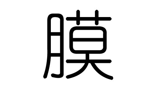 膜字的五行屬什么，膜字有幾劃，膜字的含義