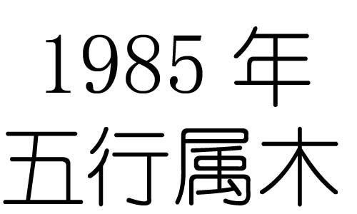 1985Ќʲô1985ʲô