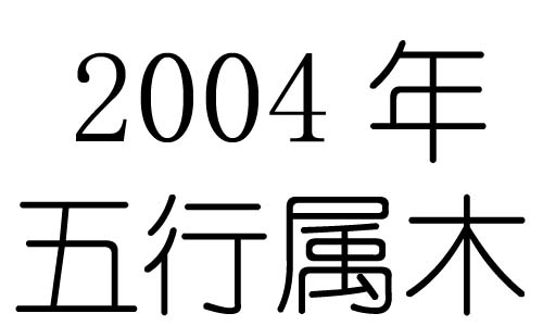 2004Ќʲô2004ʲô