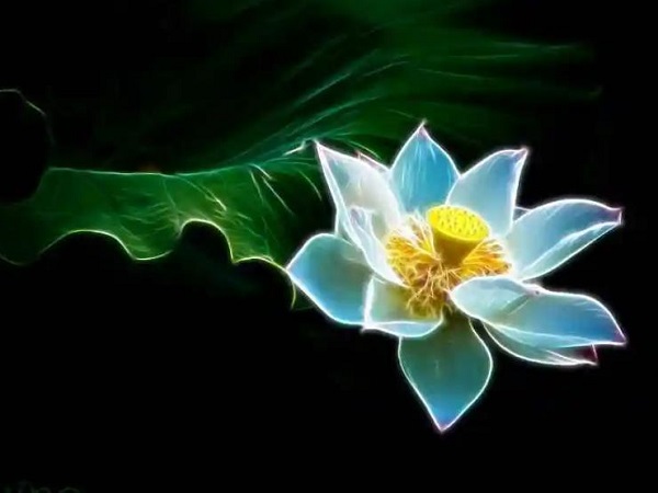 夢(mèng)見脫俗 做夢(mèng)夢(mèng)見脫俗是什么預(yù)兆 夢(mèng)見脫俗好不好
