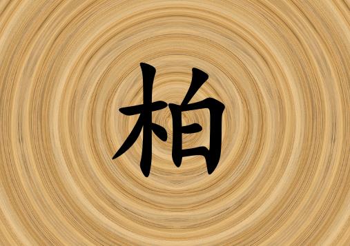 姓柏男孩起名五行屬木兩個字名字_姓柏男孩屬木100分兩個字名字