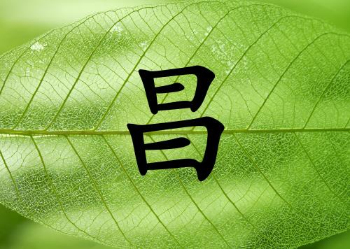 姓昌男孩起名五行屬木兩個(gè)字名字_姓昌男孩屬木100分兩個(gè)字名字