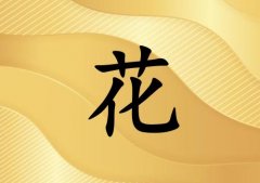 姓花男孩起名五行屬金兩個字名字_姓花男孩屬金100分兩個字名字