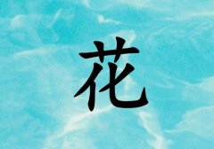 姓花男孩起名五行屬水兩個字名字_姓花男孩屬水100分兩個字名字