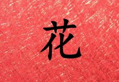 姓花男孩起名五行屬火兩個字名字_姓花男孩屬火100分兩個字名字