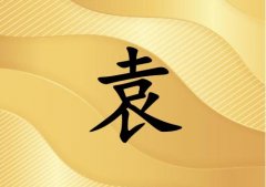 姓袁男孩起名五行屬金兩個字名字_姓袁男孩屬金100分兩個字名字