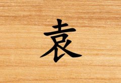 姓袁男孩起名五行屬木兩個字名字_姓袁男孩屬木100分兩個字名字