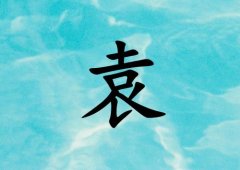 姓袁男孩起名五行屬水兩個字名字_姓袁男孩屬水100分兩個字名字