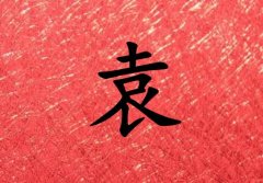 姓袁男孩起名五行屬火兩個字名字_姓袁男孩屬火100分兩個字名字