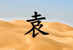 姓袁男孩起名五行屬土兩個字名字_姓袁男孩屬土100分兩個字名字
