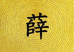 ѦкЌٽɂ(g)_Ѧкٽ100փɂ(g)