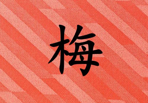 ÷кЌٻɂ(g)_÷кٻ100փɂ(g)
