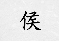 姓侯男孩起名五行屬金兩個字名字_姓侯男孩屬金100分兩個字名字