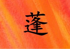 姓蓬男孩起名五行屬火兩個字名字_姓蓬男孩屬火100分兩個字名字