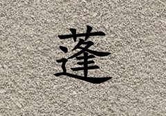姓蓬男孩起名五行屬土兩個字名字_姓蓬男孩屬土100分兩個字名字