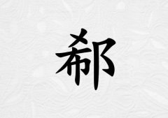 姓郗男孩起名五行屬金兩個字名字_姓郗男孩屬金100分兩個字名字