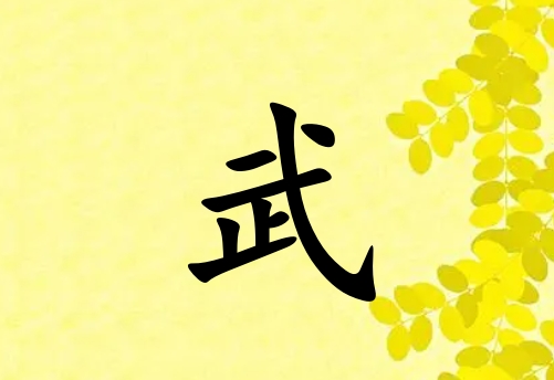 姓武男孩起名五行屬土兩個(gè)字名字_姓武男孩屬土100分兩個(gè)字名字