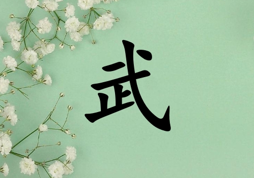 姓武男孩起名五行屬木兩個字名字_姓武男孩屬木100分兩個字名字
