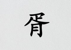 кЌٽɂ(g)_кٽ100փɂ(g)