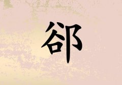 SкЌٻɂ(g)_Sкٻ100փɂ(g)