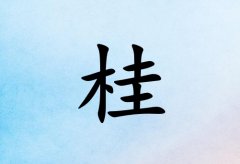 չкЌˮɂ(g)_չкˮ100փɂ(g)