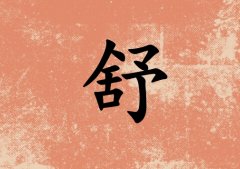 姓舒男孩起名五行屬火三個(gè)字名字_姓舒男孩屬火100分三個(gè)字名字