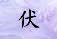 շкЌٽ_շкٽ100