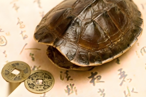 陰陽五行的知識