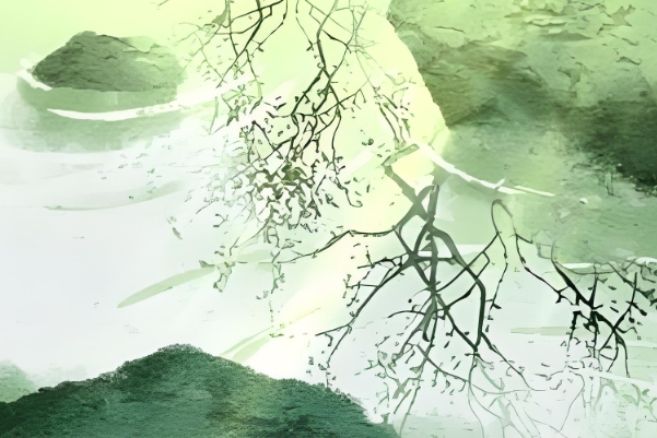 ֿmʲôL(fng)