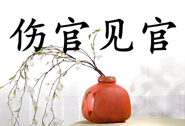 Ҋ鵜ٶ