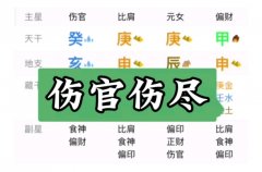 傷官傷盡是什么意思？